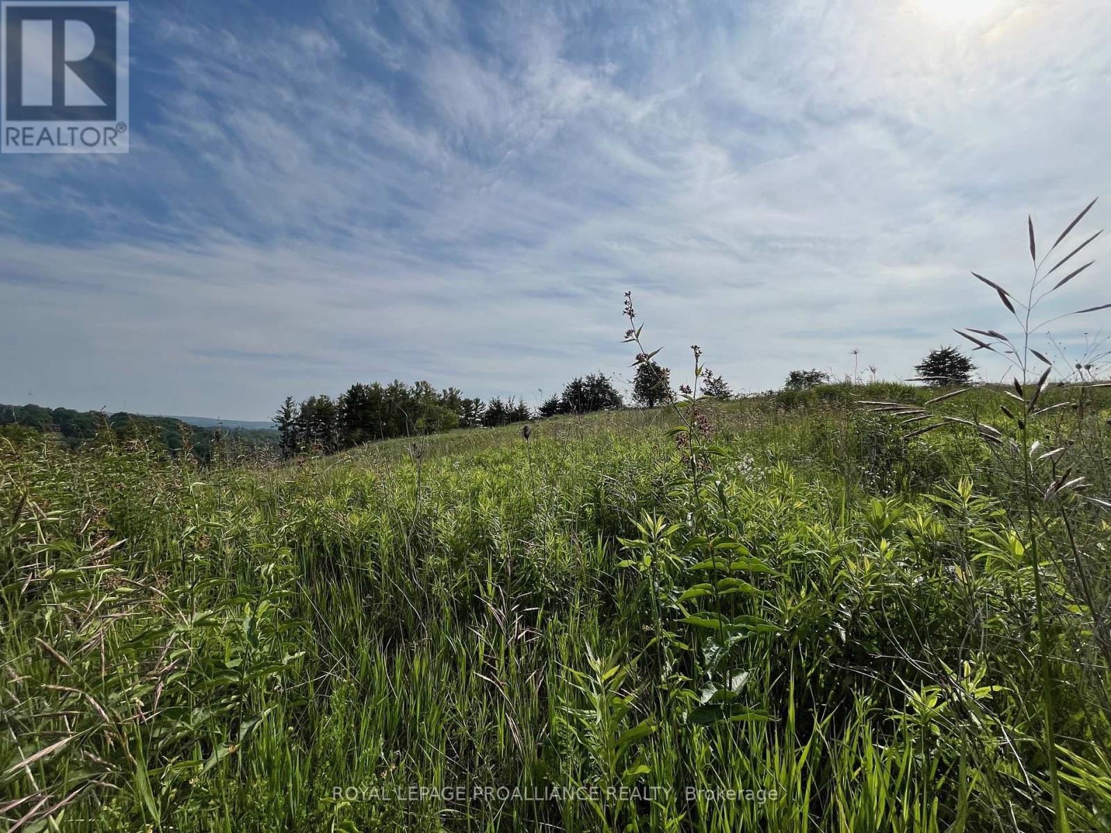 Lot 3 - 4836 45 Highway, Hamilton Township, Ontario  K7G 2V6 - Photo 5 - X12524754