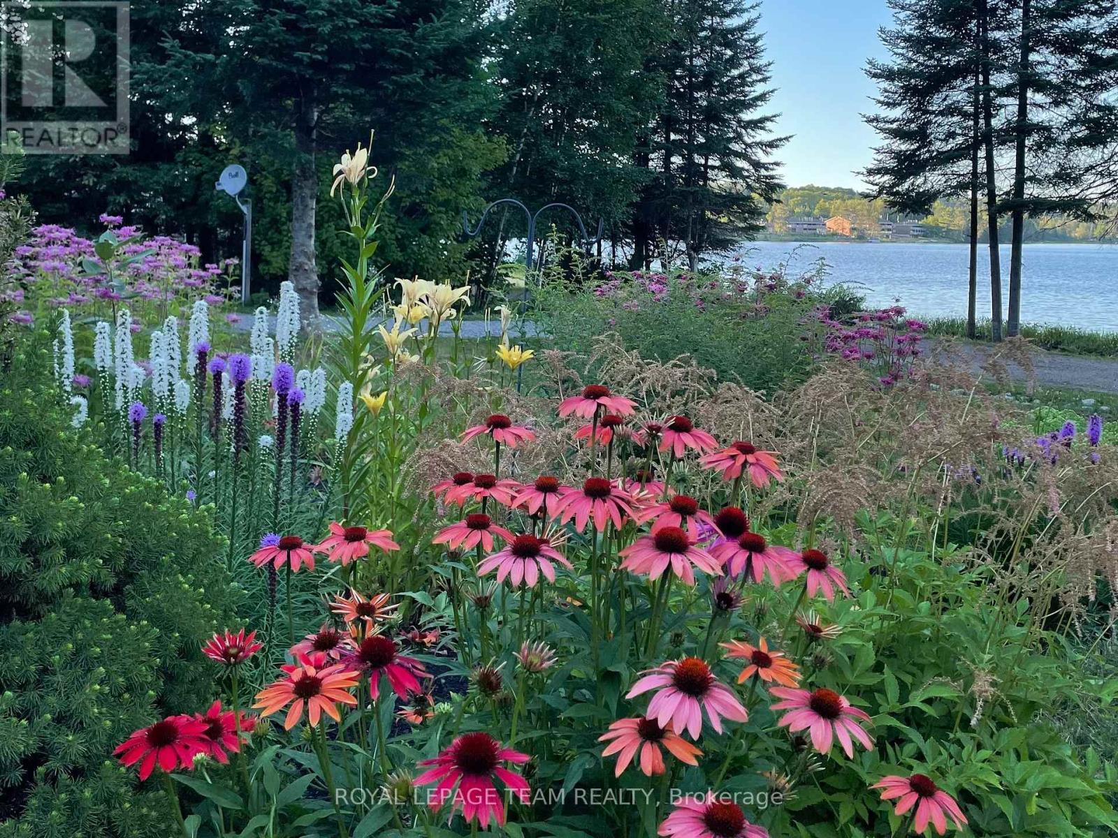 21 Dave Bowers Lane, South Algonquin, Ontario  K0J 2M0 - Photo 12 - X12524824