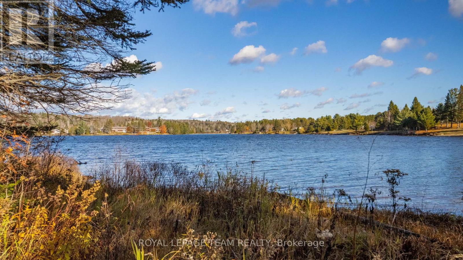 21 Dave Bowers Lane, South Algonquin, Ontario  K0J 2M0 - Photo 33 - X12524824