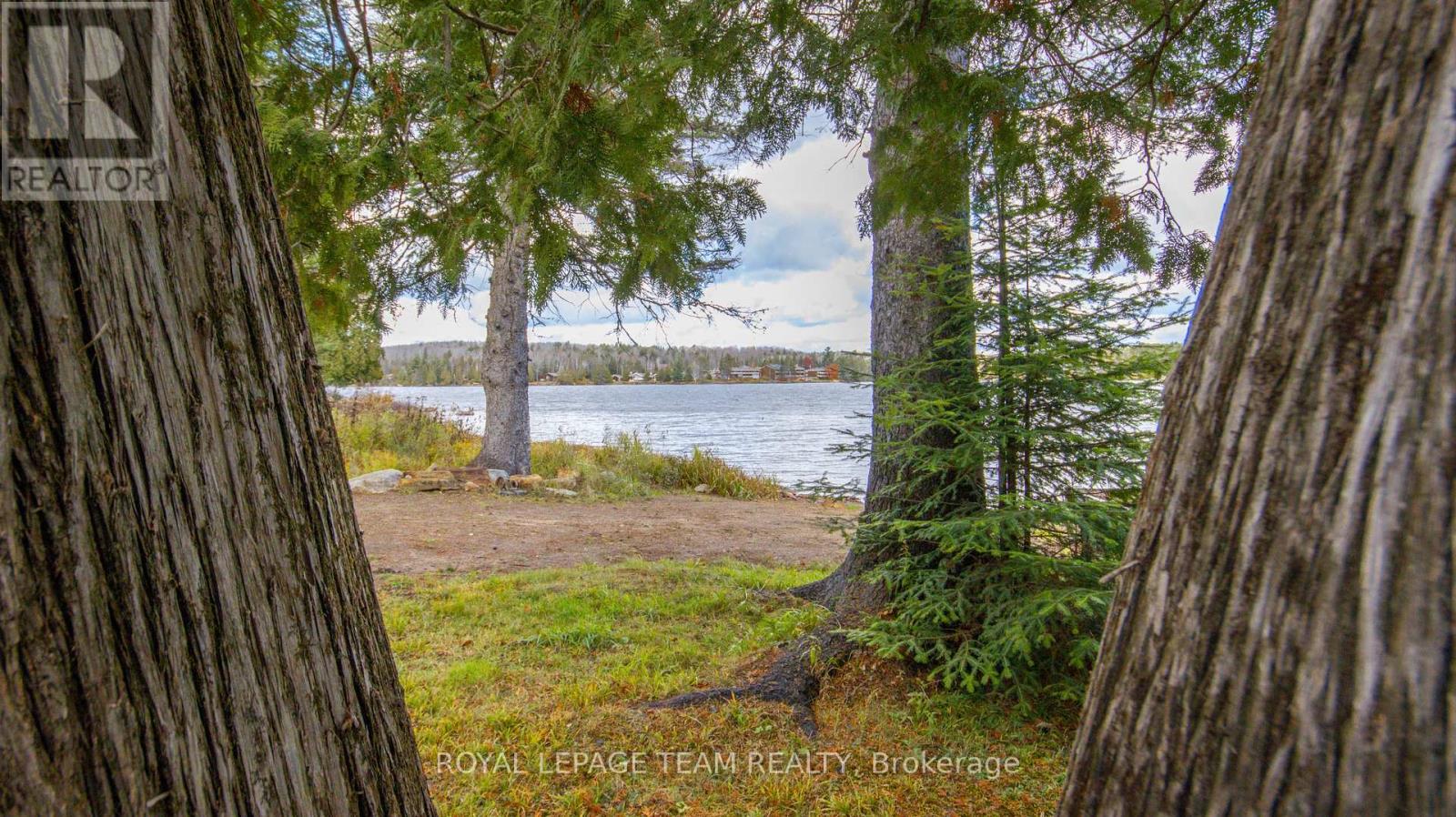 21 Dave Bowers Lane, South Algonquin, Ontario  K0J 2M0 - Photo 34 - X12524824