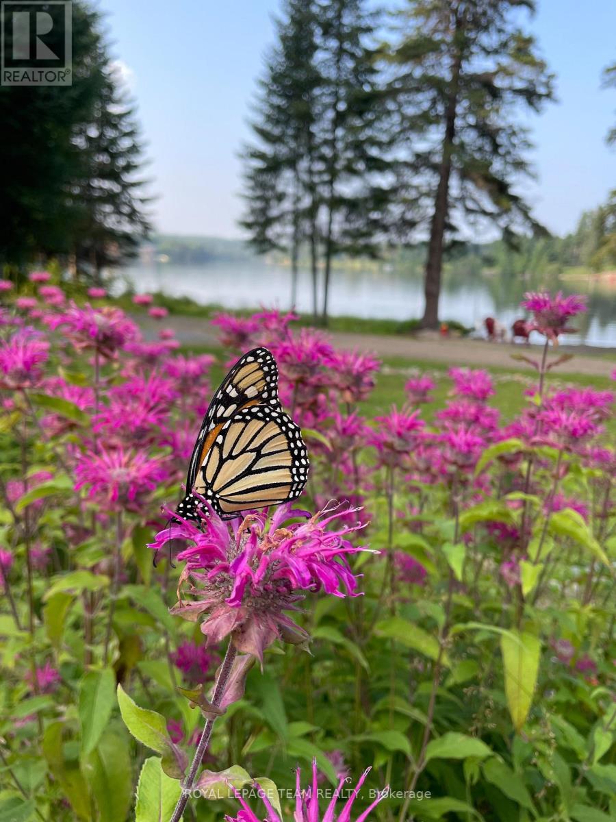 21 Dave Bowers Lane, South Algonquin, Ontario  K0J 2M0 - Photo 44 - X12524824