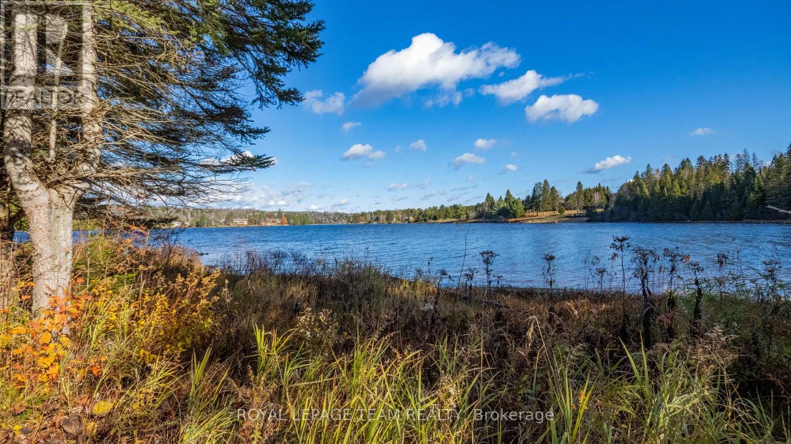 21 Dave Bowers Lane, South Algonquin, Ontario  K0J 2M0 - Photo 5 - X12524824