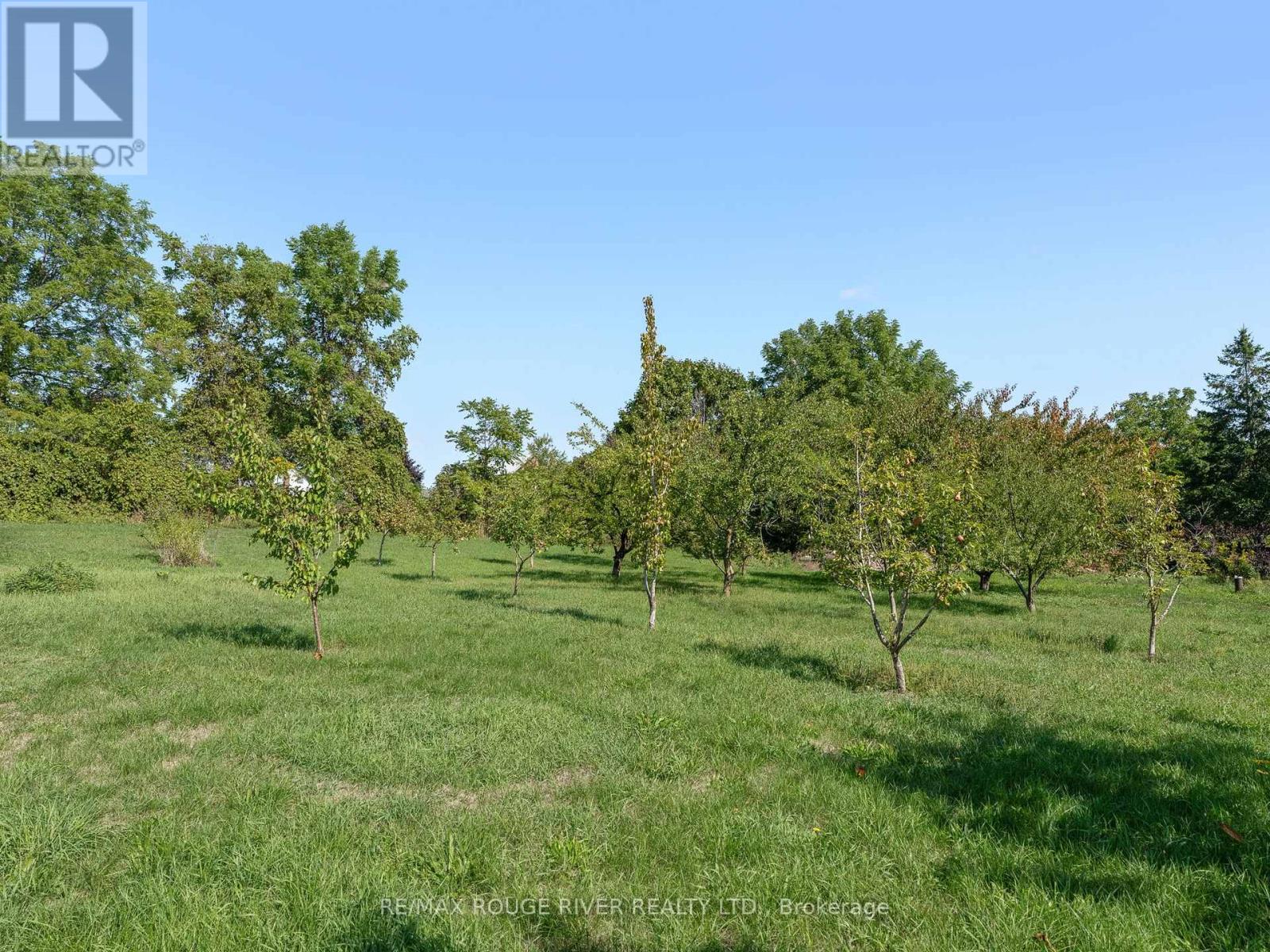 120 Spring Street, Alnwick/haldimand, Ontario K0K 1S0 - Photo 37 - X12401396