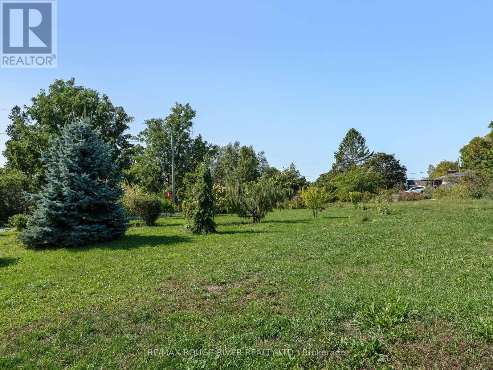 120 Spring Street, Alnwick/haldimand, Ontario K0K 1S0 - Photo 36 - X12401396