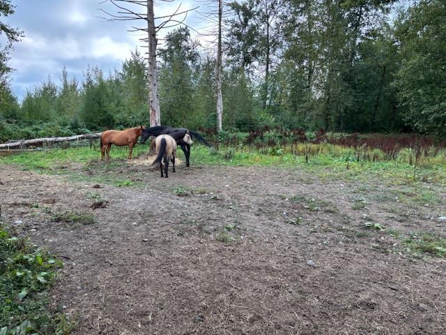 2617 208 Street, Langley, British Columbia  V2Z 2B1 - Photo 18 - R3065595