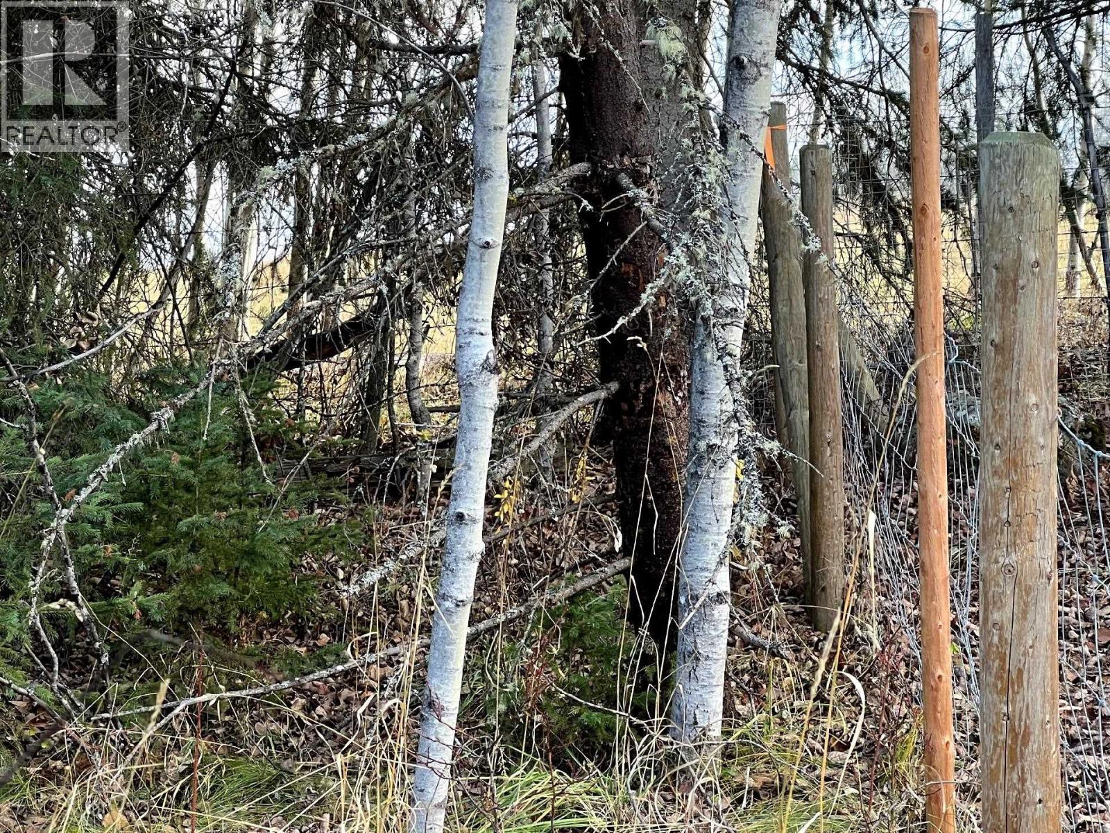 Lot 6 Dl2561 Horsefly Road, Horsefly, British Columbia  V0L 1L0 - Photo 21 - R3064960