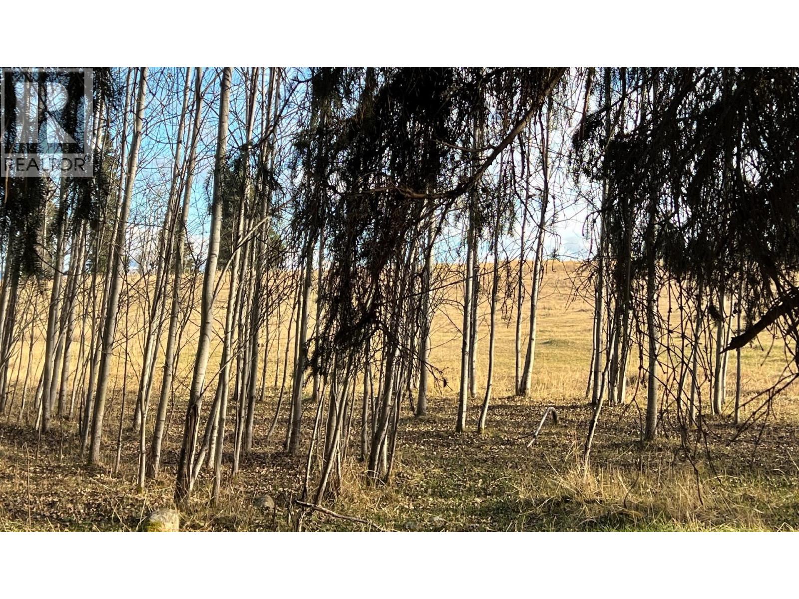 Lot 6 Dl2561 Horsefly Road, Horsefly, British Columbia  V0L 1L0 - Photo 12 - R3064960