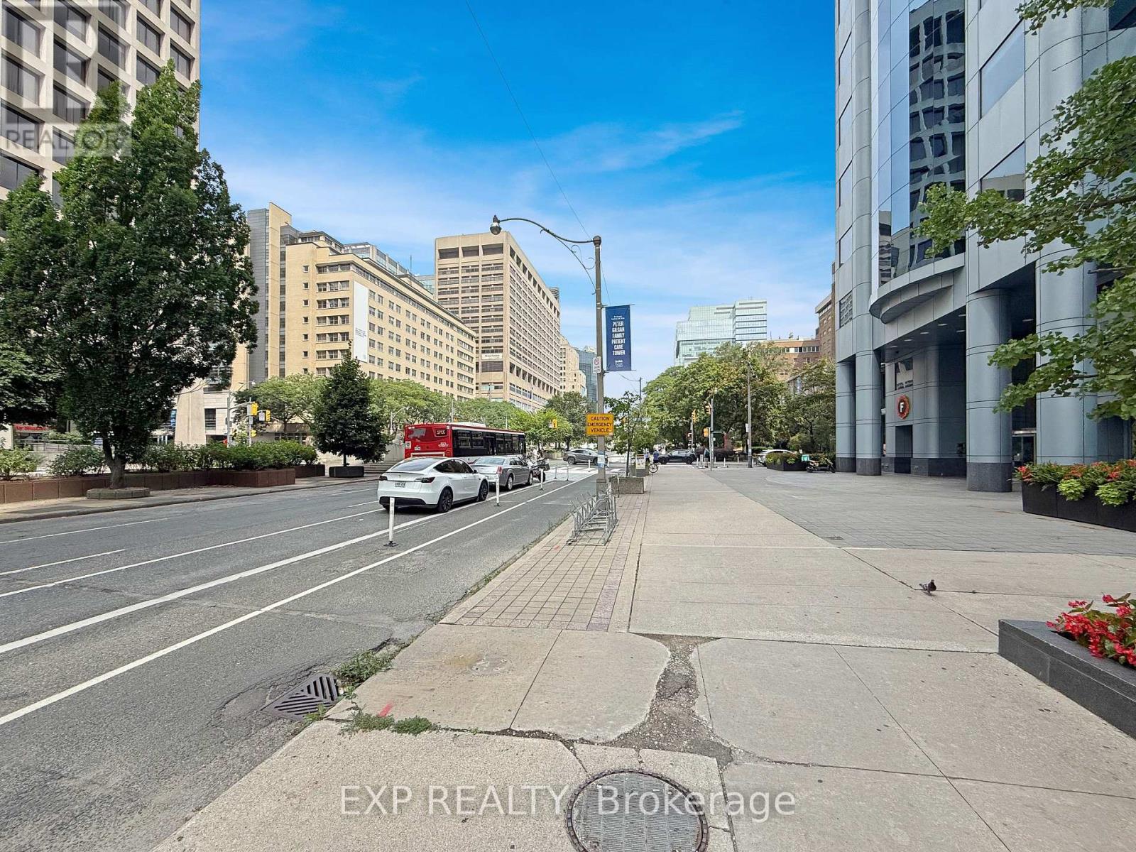 Ground Floor - 505 University Avenue, Toronto, Ontario  M5G 1X3 - Photo 29 - C12524852