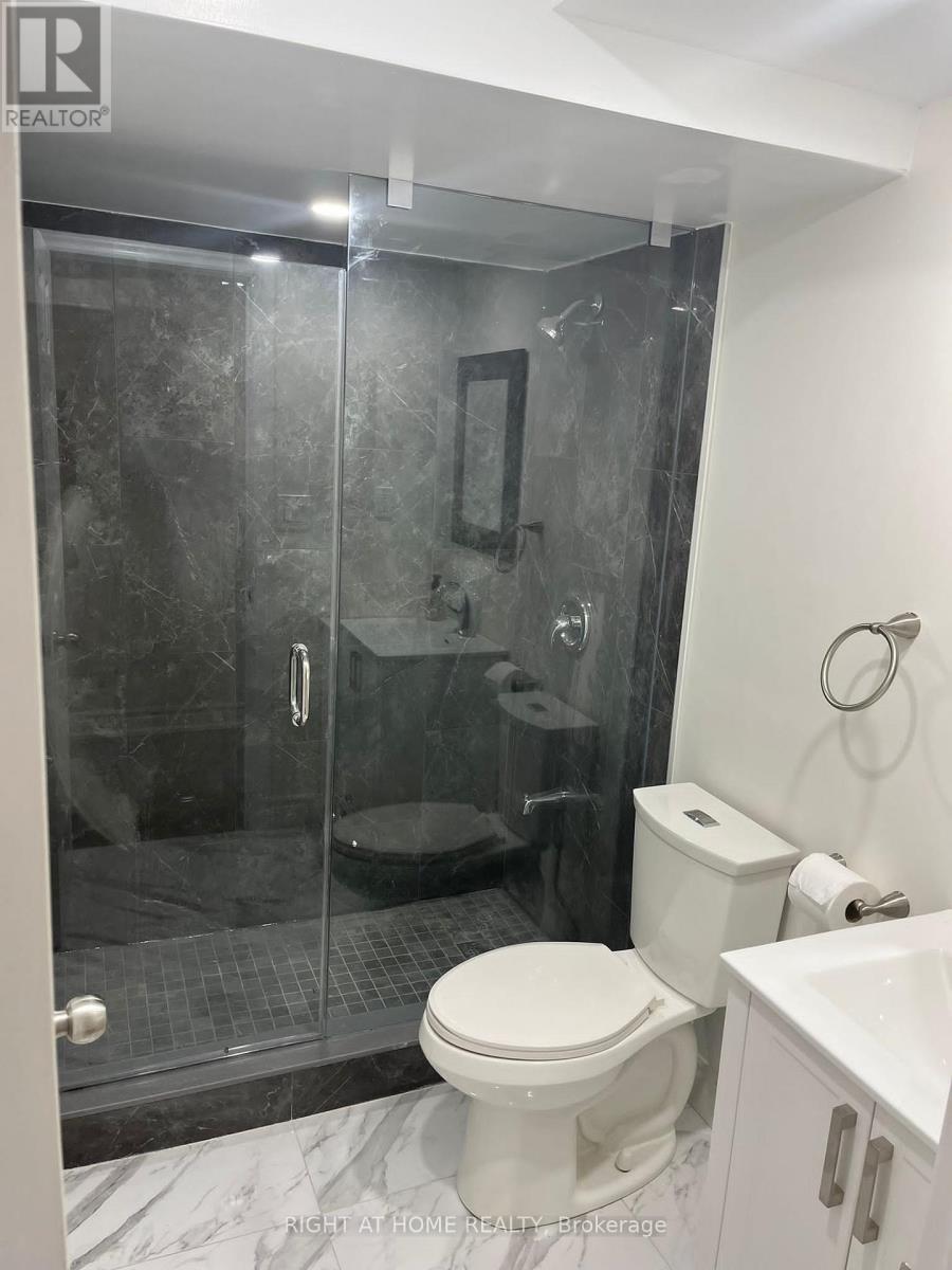 Bsmt - 58 Barnfield Crescent, Ajax, Ontario  L1Z 0T3 - Photo 18 - E12524830