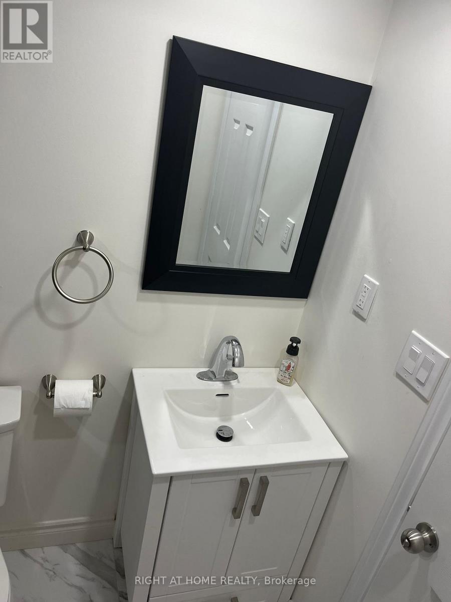 Bsmt - 58 Barnfield Crescent, Ajax, Ontario  L1Z 0T3 - Photo 19 - E12524830