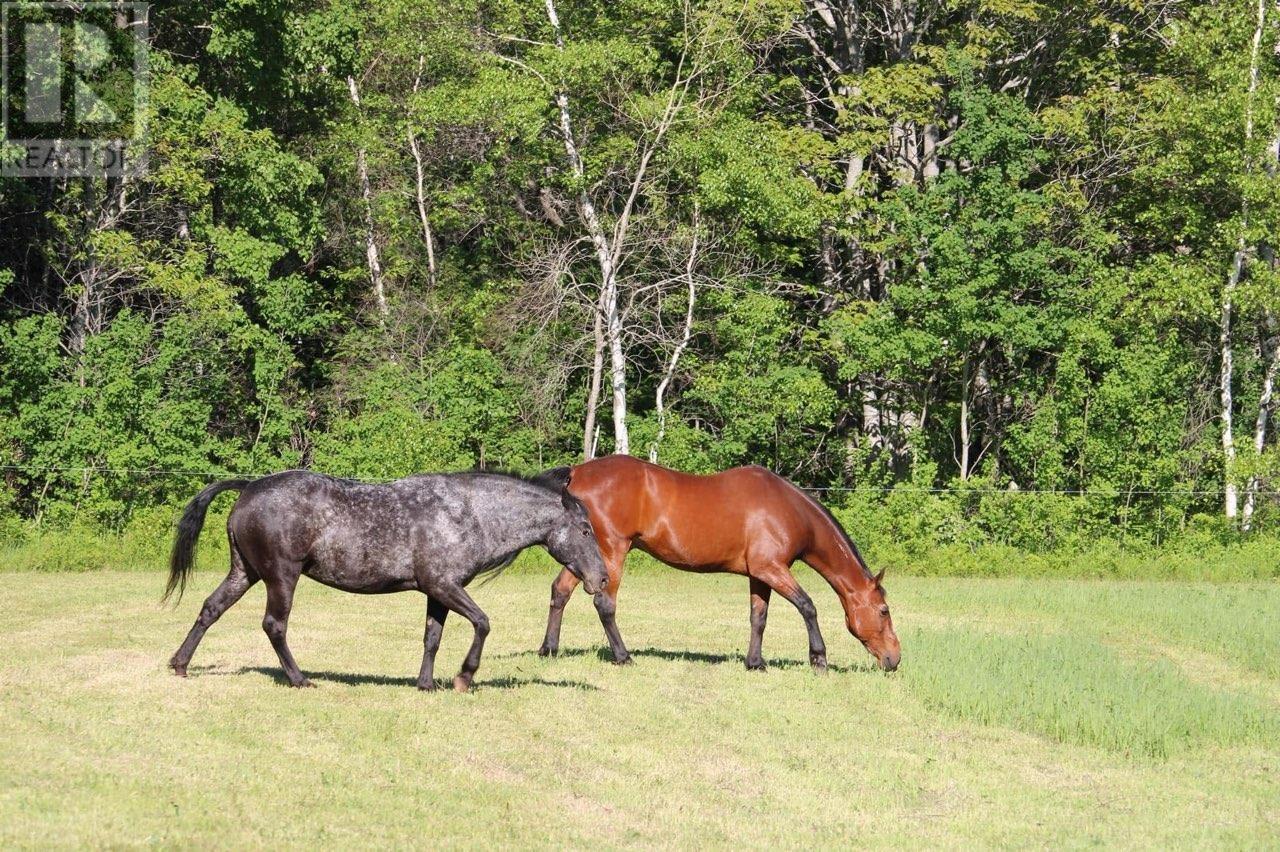 205 Dundee Loop, West St. Peters, Prince Edward Island  C0A 1S0 - Photo 34 - 202527053