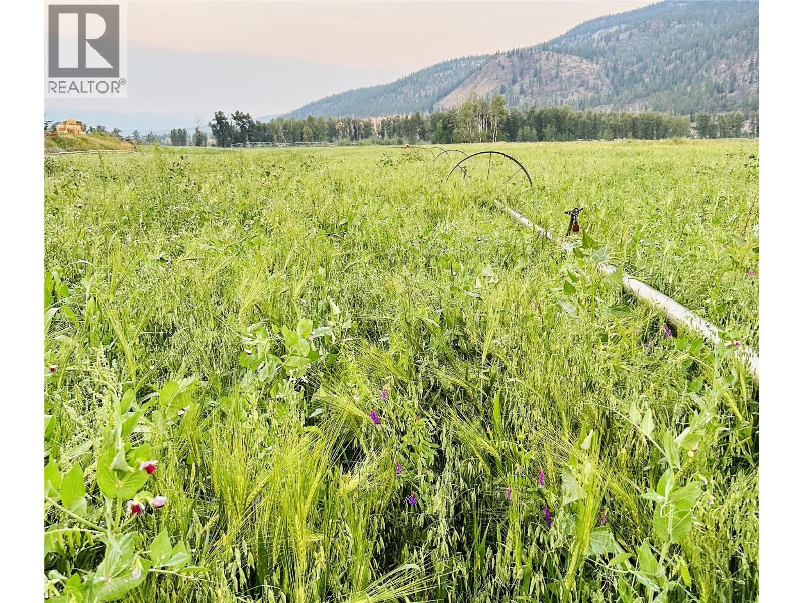 281 Lindley Creek Road, Merritt, British Columbia  V1K 1L4 - Photo 56 - 10367327