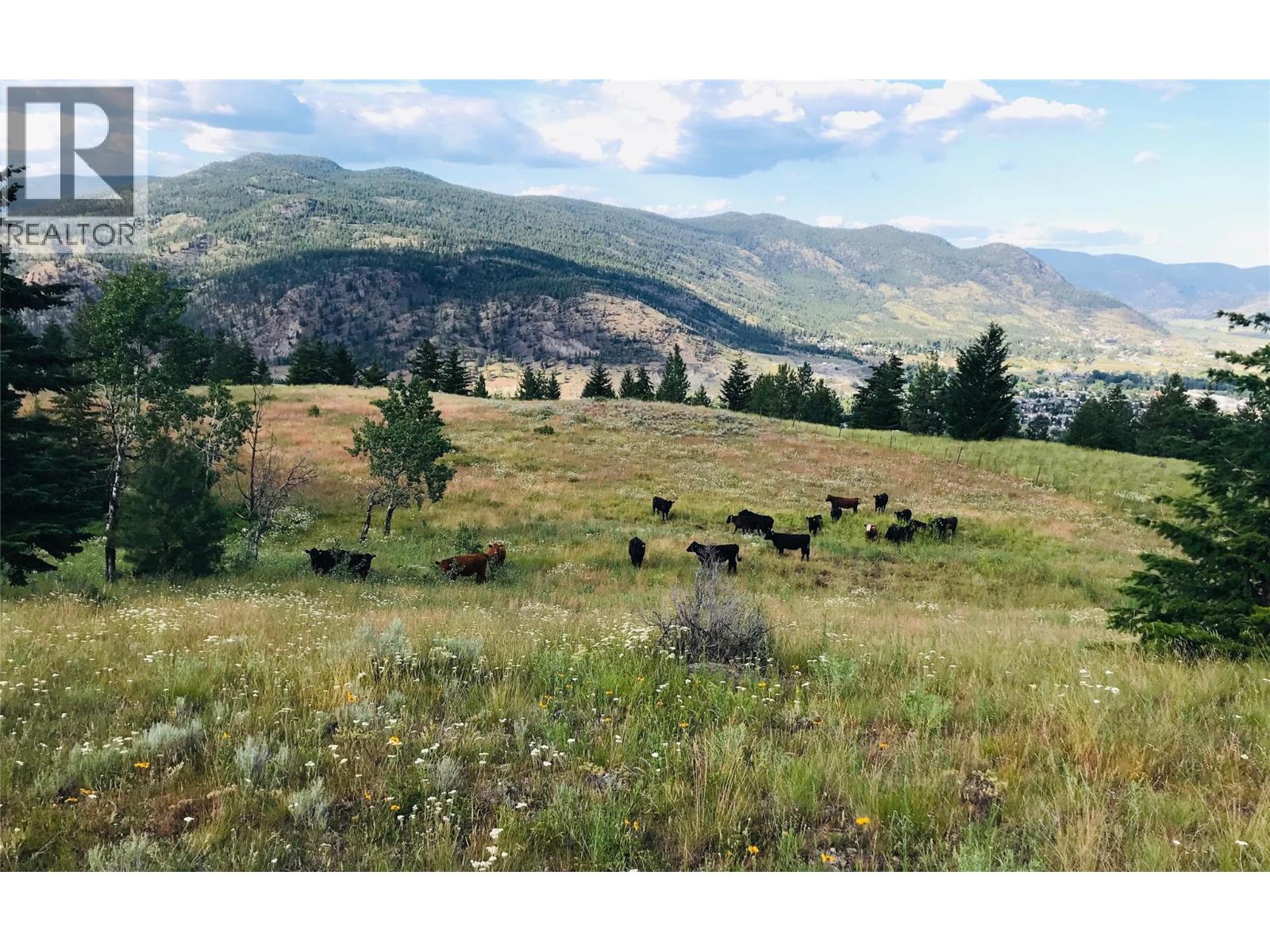 281 Lindley Creek Road, Merritt, British Columbia  V1K 1L4 - Photo 67 - 10367327