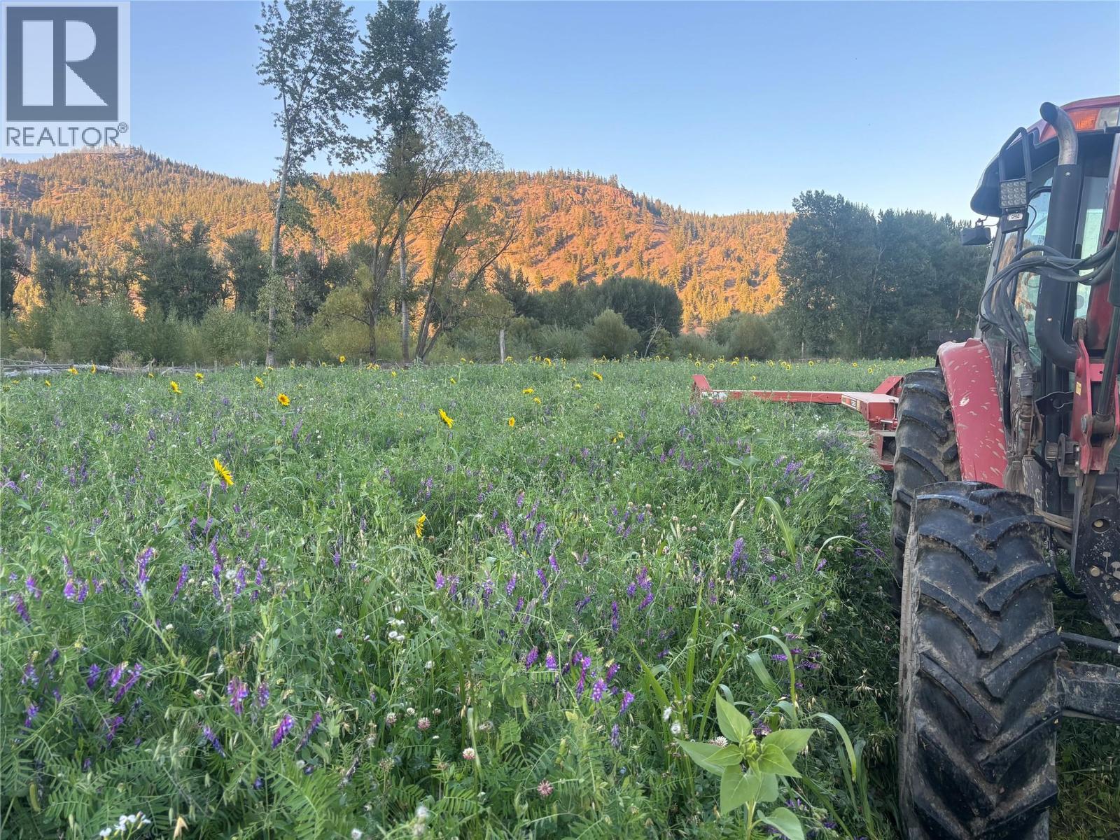 281 Lindley Creek Road, Merritt, British Columbia  V1K 1L4 - Photo 61 - 10367327