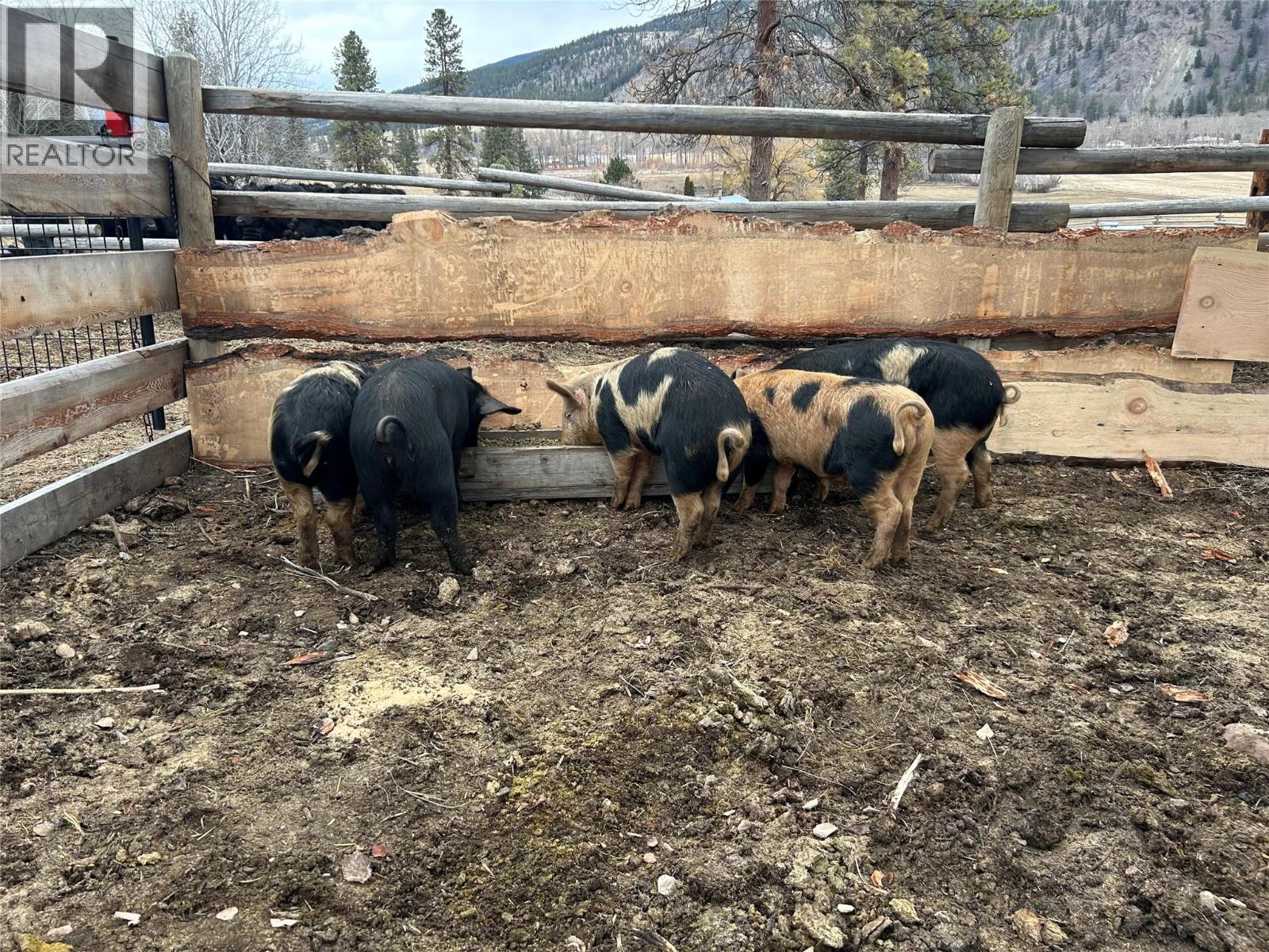 281 Lindley Creek Road, Merritt, British Columbia  V1K 1L4 - Photo 43 - 10367327