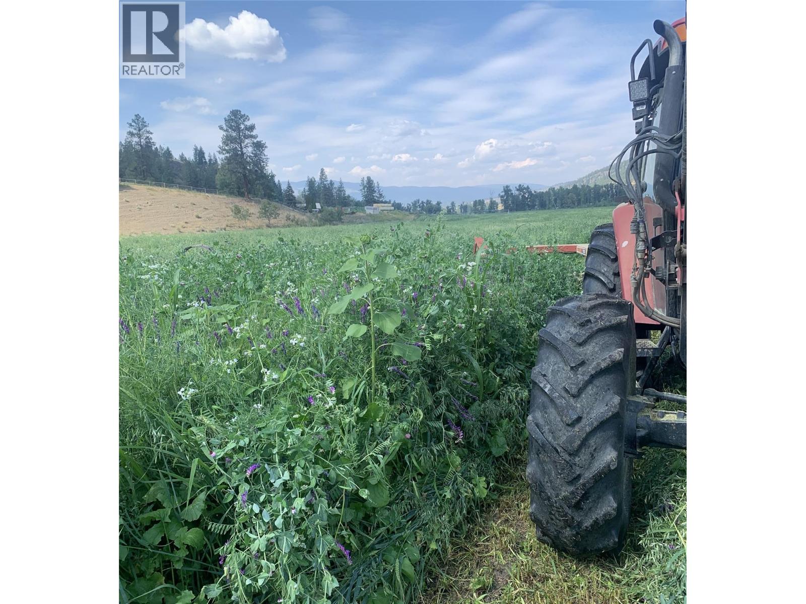 281 Lindley Creek Road, Merritt, British Columbia  V1K 1L4 - Photo 60 - 10367327