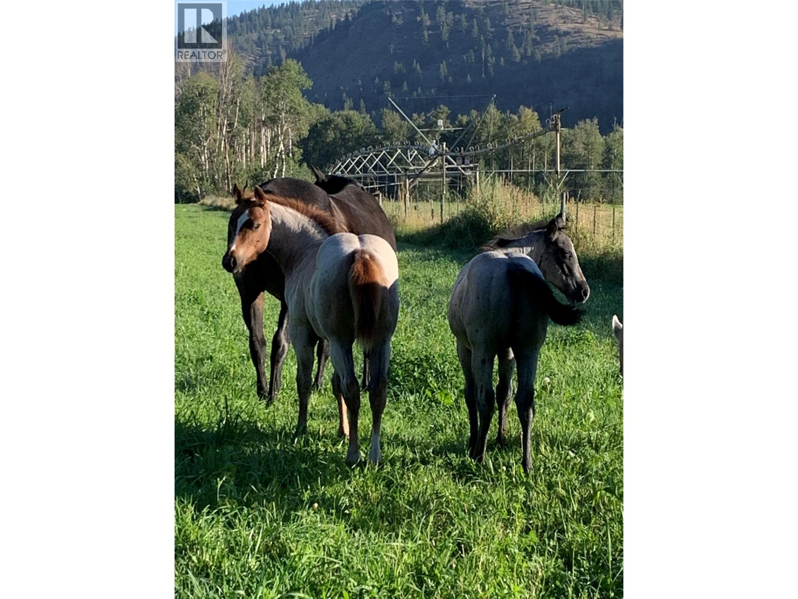 281 Lindley Creek Road, Merritt, British Columbia  V1K 1L4 - Photo 66 - 10367327