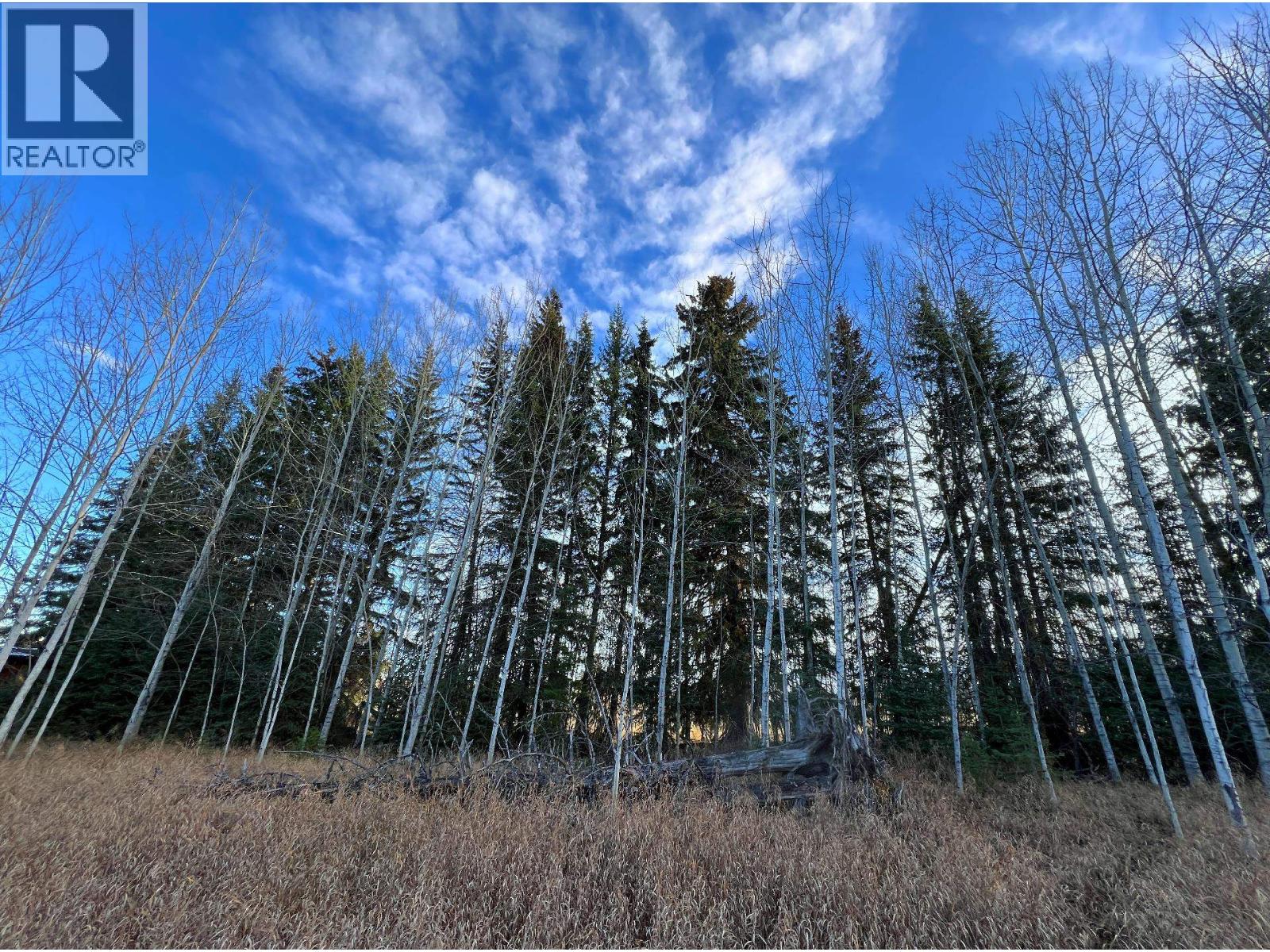 Lot 6 Dl2561 Horsefly Road, Horsefly, British Columbia V0L 1L0 - Photo 11 - R3064960