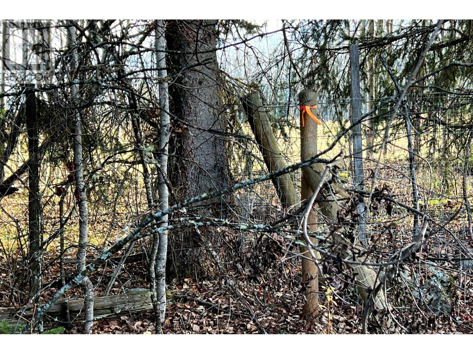 Lot 6 Dl2561 Horsefly Road, Horsefly, British Columbia  V0L 1L0 - Photo 22 - R3064960