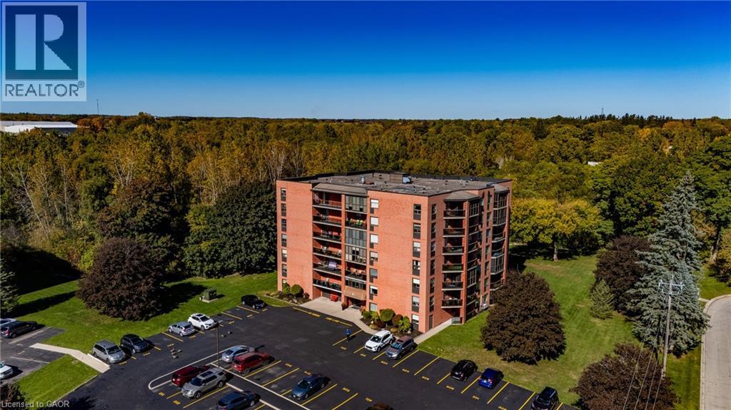 5 Mill Pond Court Unit# 206, Simcoe, Ontario  N3Y 5J6 - Photo 4 - 40778773