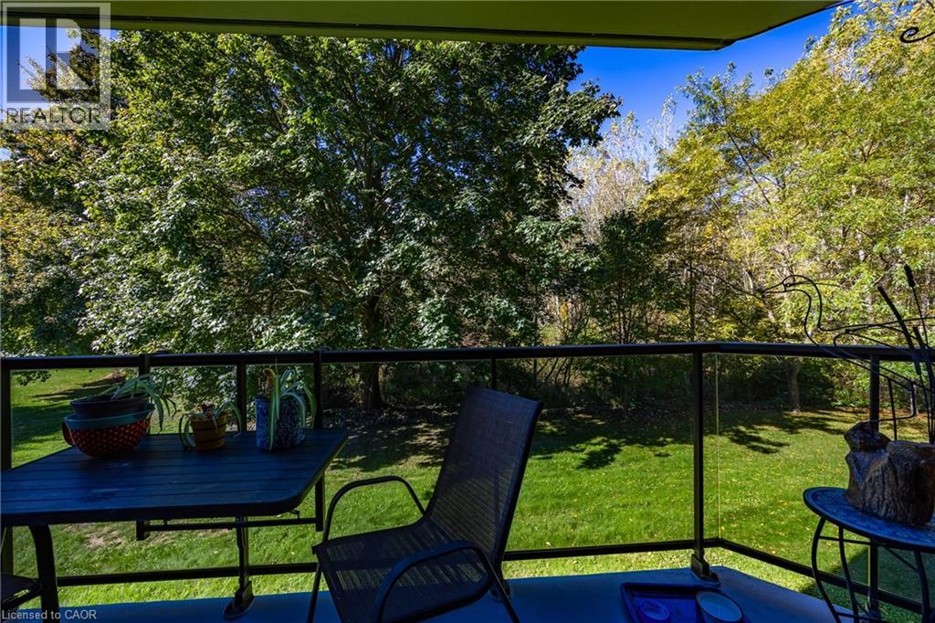 5 Mill Pond Court Unit# 206, Simcoe, Ontario  N3Y 5J6 - Photo 23 - 40778773