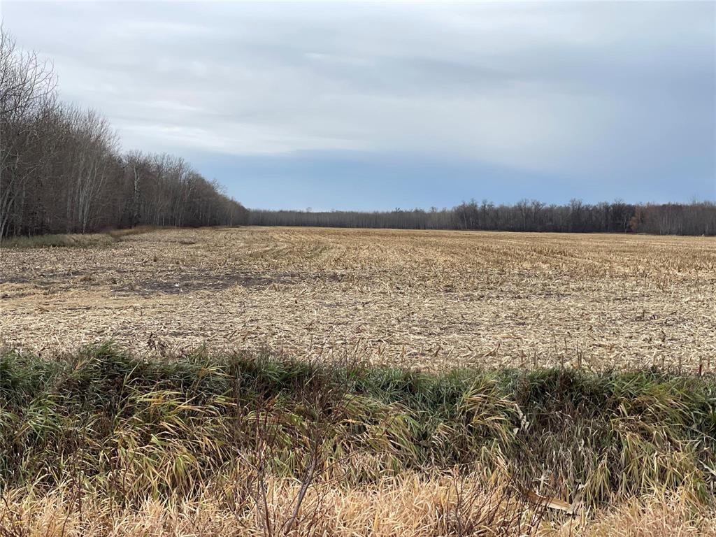 0 41W/49N Road, St Claude, Manitoba