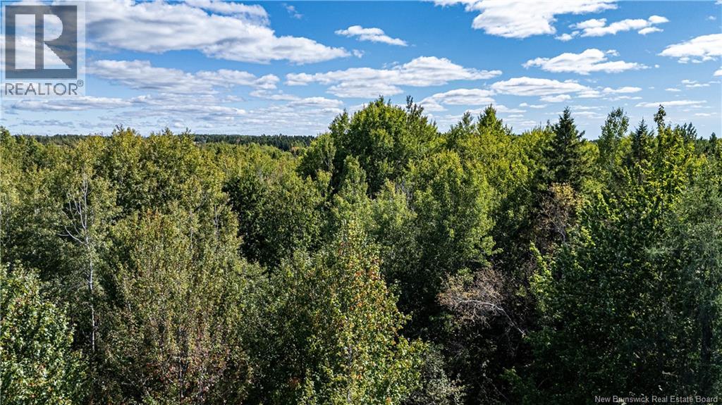 Lot 79-6 De La Traverse, Saint-Paul, New Brunswick  E4T 3M6 - Photo 3 - NB126175