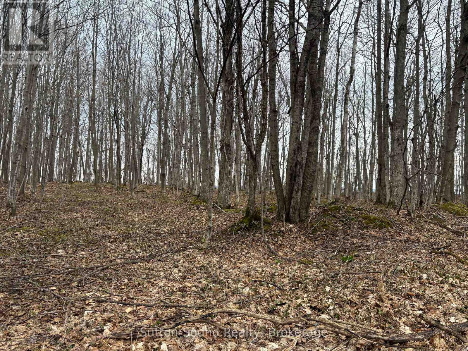 Pt Lt 9 Con 14 Ebr Pt 14 Concession, Northern Bruce Peninsula, Ontario N0H 1W0 - Photo 12 - X12439252