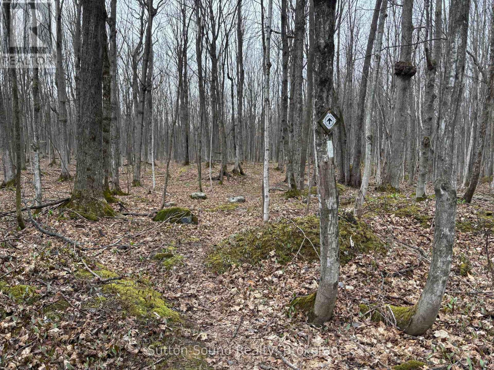 Pt Lt 9 Con 14 Ebr Pt 14 Concession, Northern Bruce Peninsula, Ontario N0H 1W0 - Photo 13 - X12439252