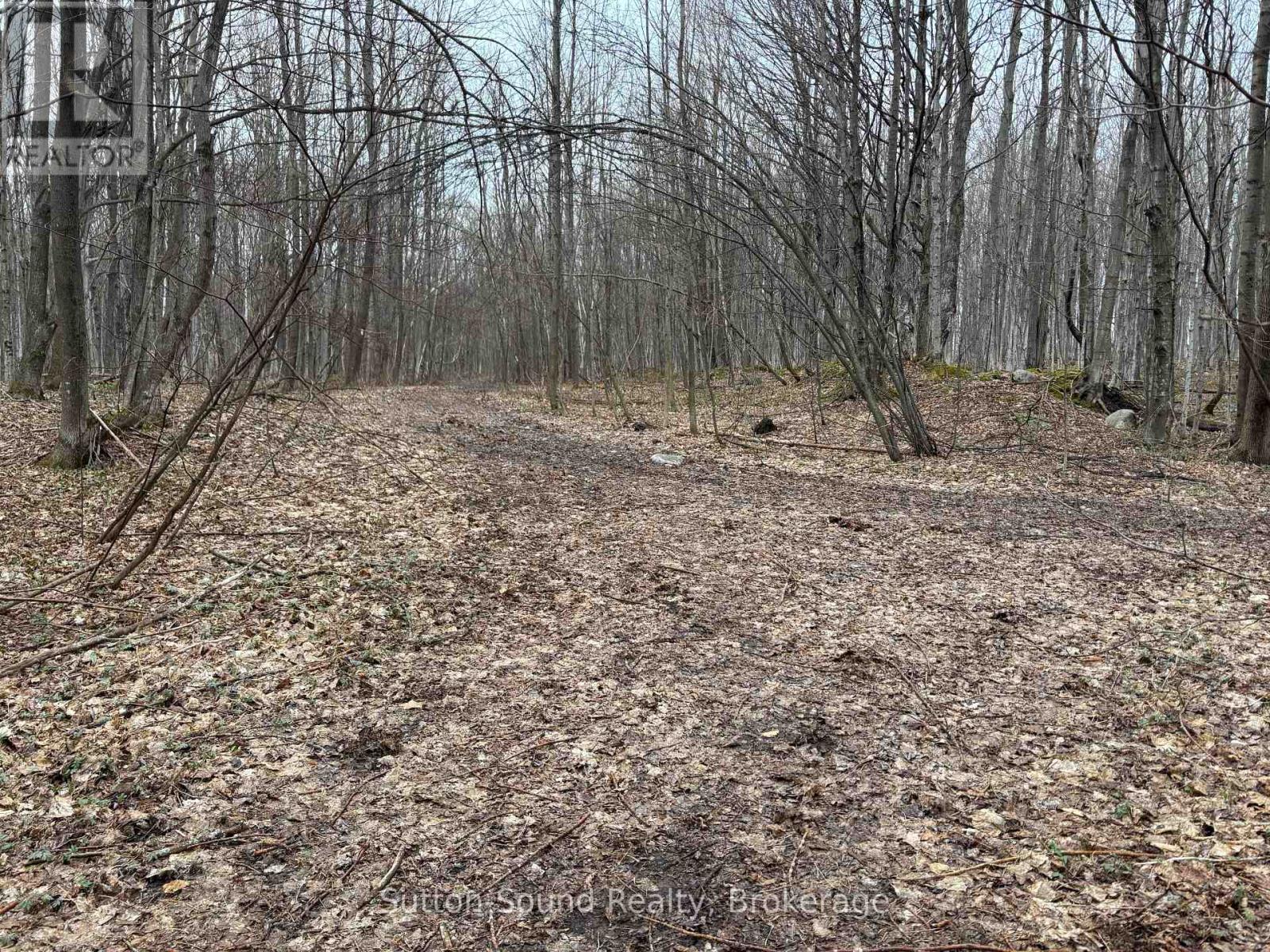 Pt Lt 9 Con 14 Ebr Pt 14 Concession, Northern Bruce Peninsula, Ontario N0H 1W0 - Photo 14 - X12439252