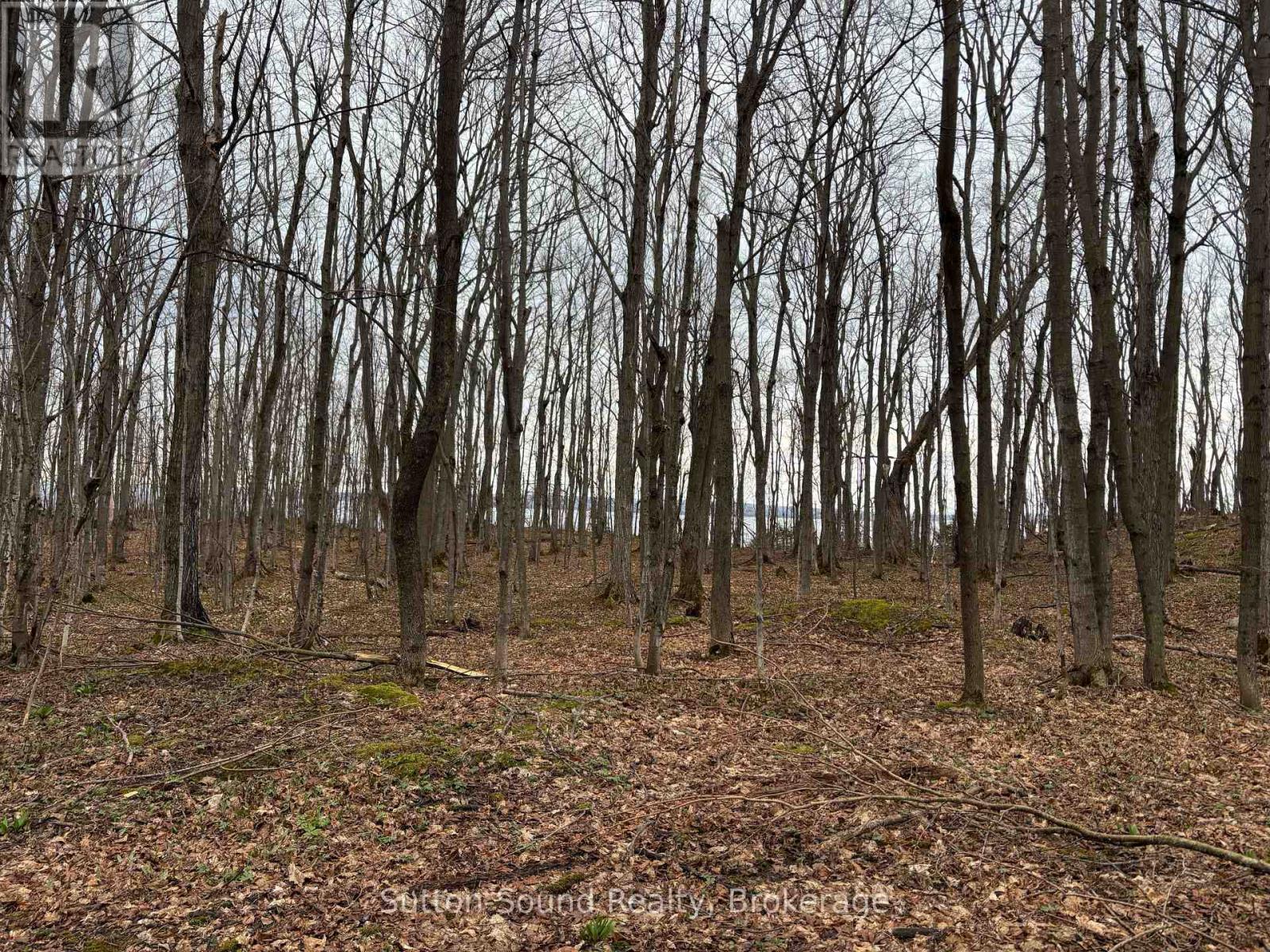 Pt Lt 9 Con 14 Ebr Pt 14 Concession, Northern Bruce Peninsula, Ontario N0H 1W0 - Photo 15 - X12439252