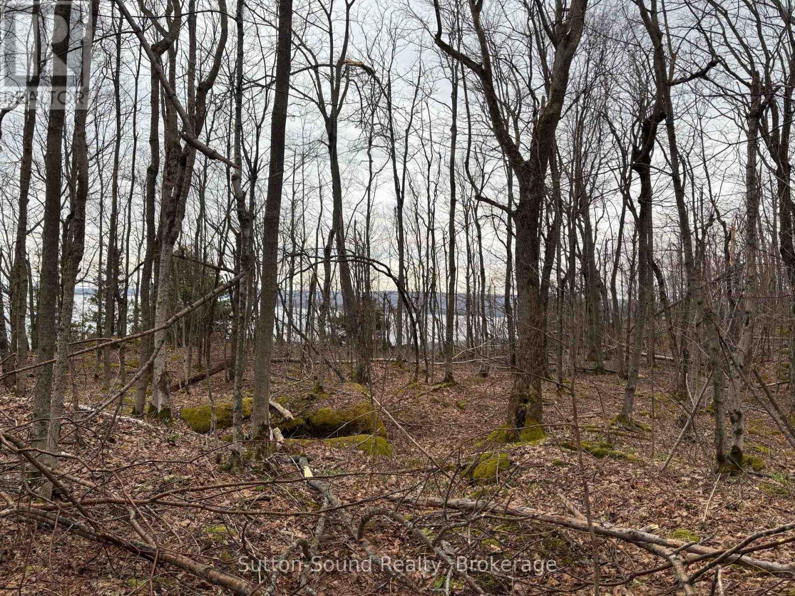 Pt Lt 9 Con 14 Ebr Pt 14 Concession, Northern Bruce Peninsula, Ontario N0H 1W0 - Photo 19 - X12439252