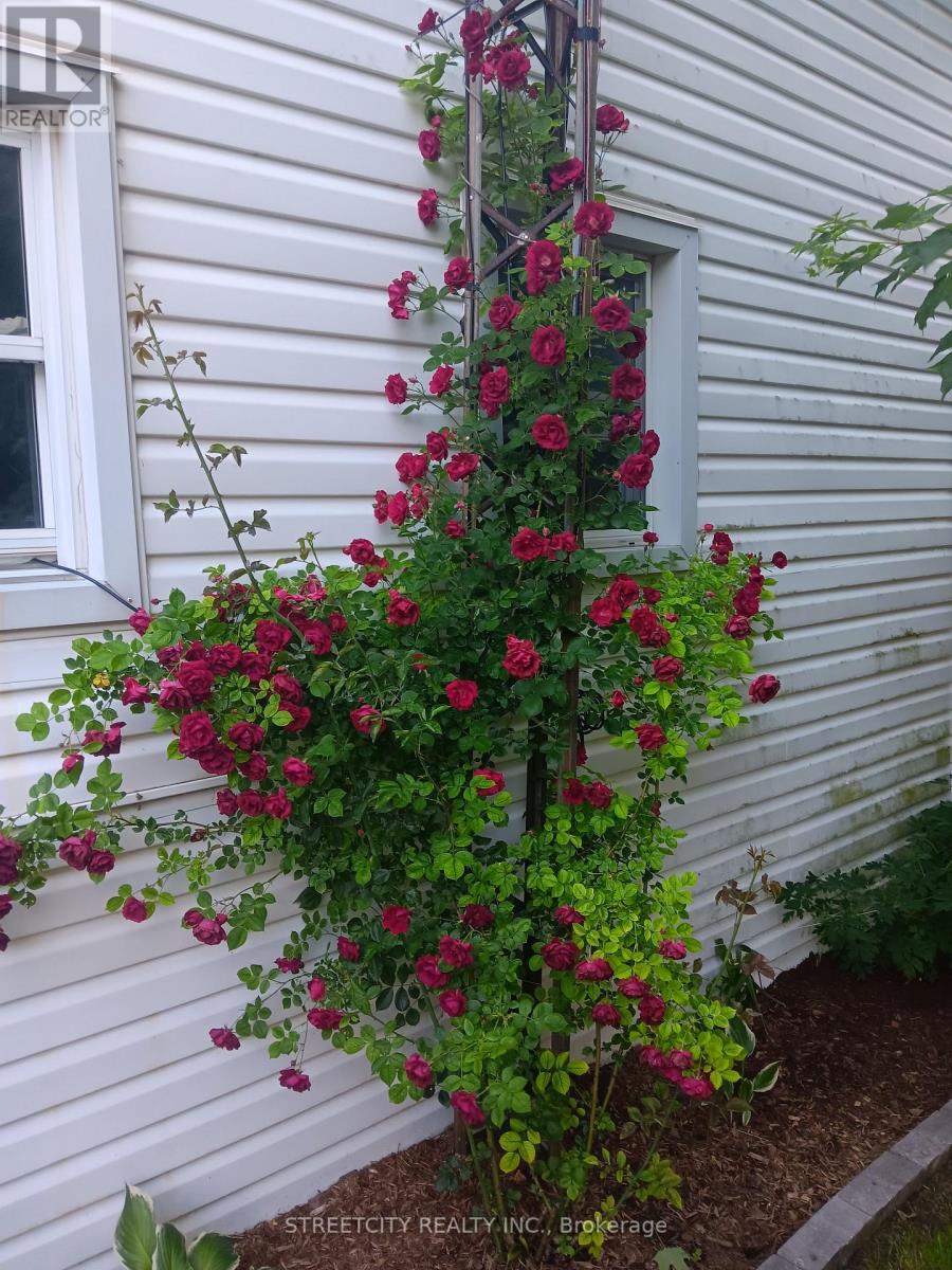 156 Maple Street, West Elgin, Ontario  N0L 2C0 - Photo 33 - X12525242