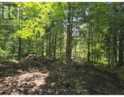 0 HWY 503 HIGHWAY E, Highlands East, Ontario