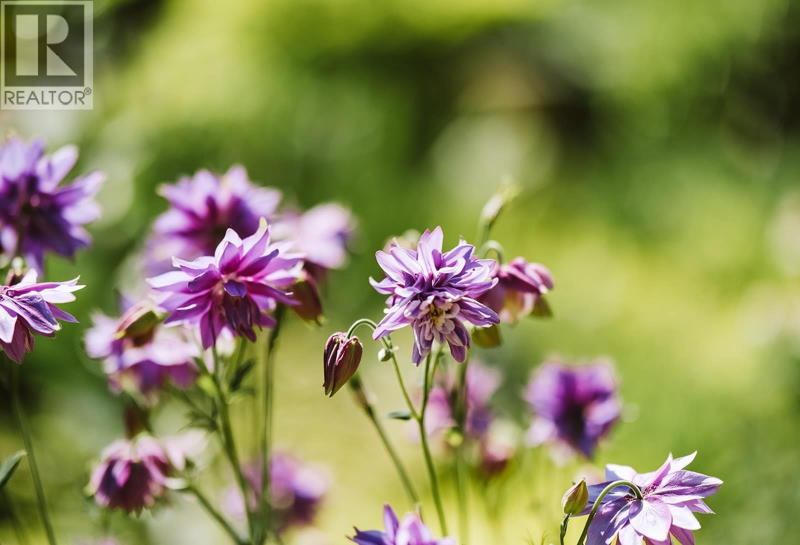 1275 Sunnyside Drive, Galiano Island, British Columbia  V0N 1P0 - Photo 25 - R3011685