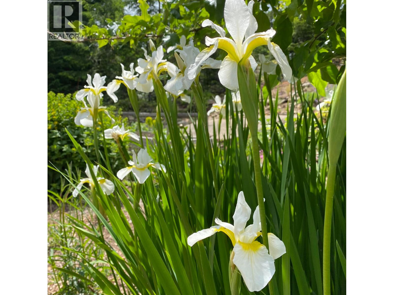 1275 Sunnyside Drive, Galiano Island, British Columbia  V0N 1P0 - Photo 23 - R3011685