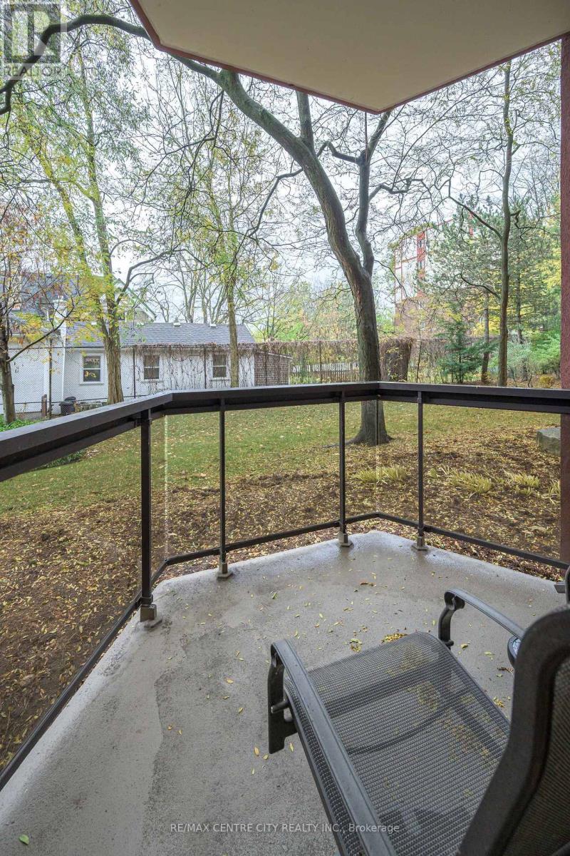 103 - 600 Talbot Street, London East, Ontario  N6A 5L9 - Photo 30 - X12525604