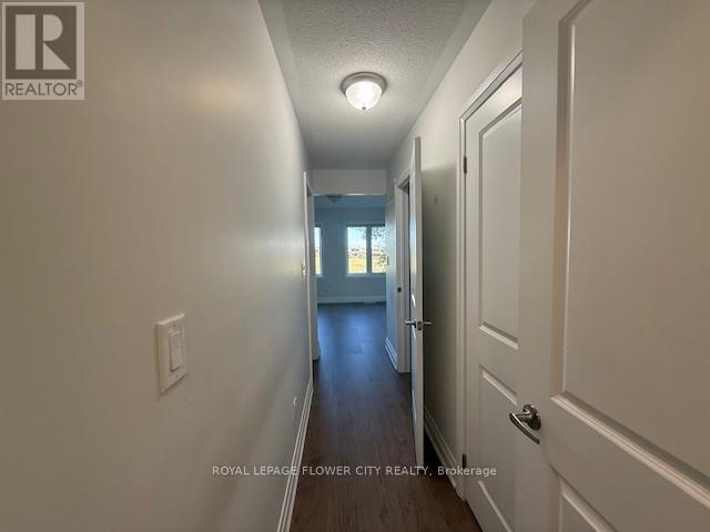 11 Dalbeattie Drive, Brampton, Ontario  L6Y 0E3 - Photo 25 - W12525602