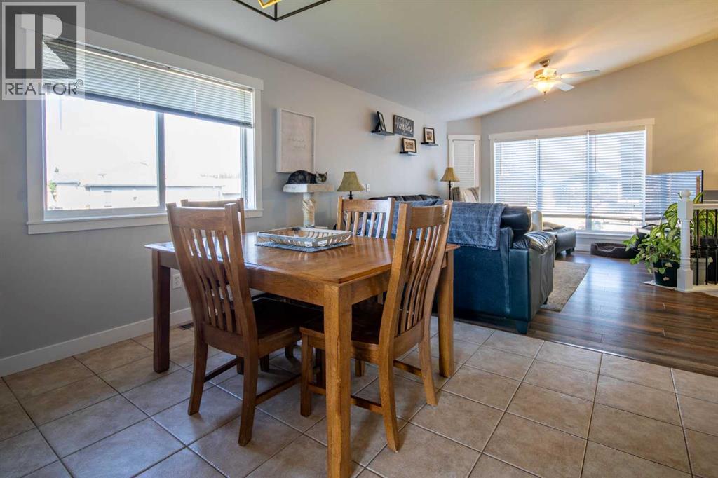 1112 2 Street Ne, Sundre, Alberta  T0M 1X0 - Photo 6 - A2256847