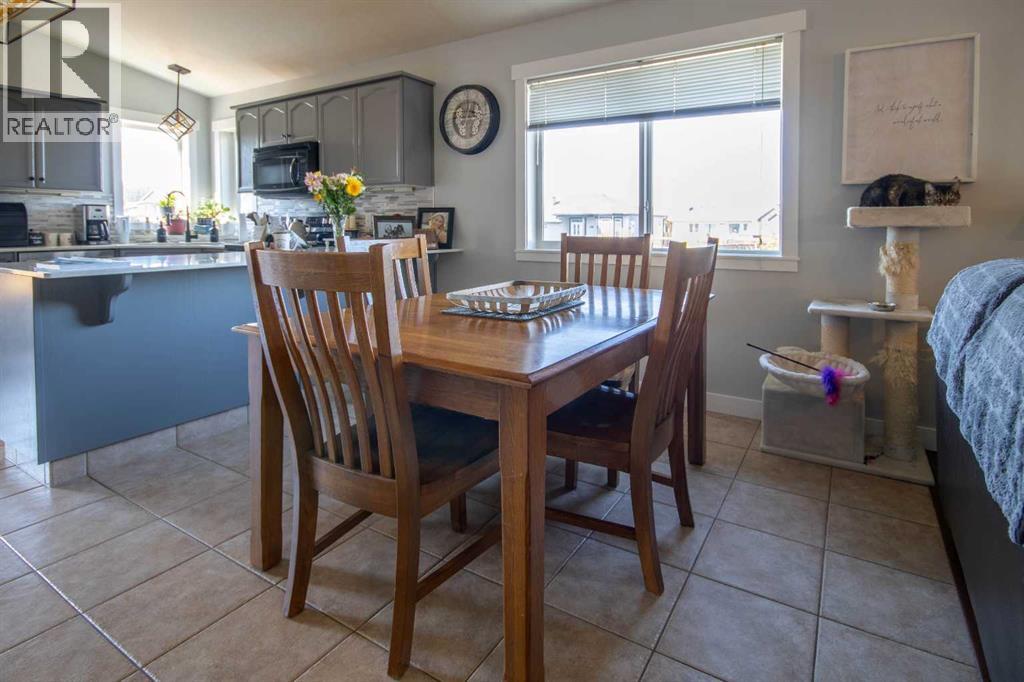 1112 2 Street Ne, Sundre, Alberta  T0M 1X0 - Photo 5 - A2256847