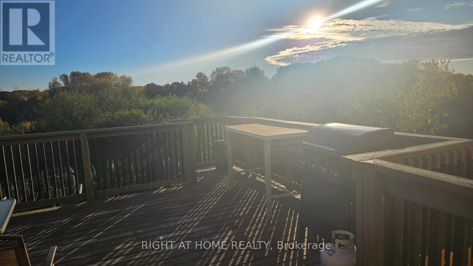 44 Moldovan Drive, Brampton, Ontario L6R 0E4 - Photo 3 - W12466719