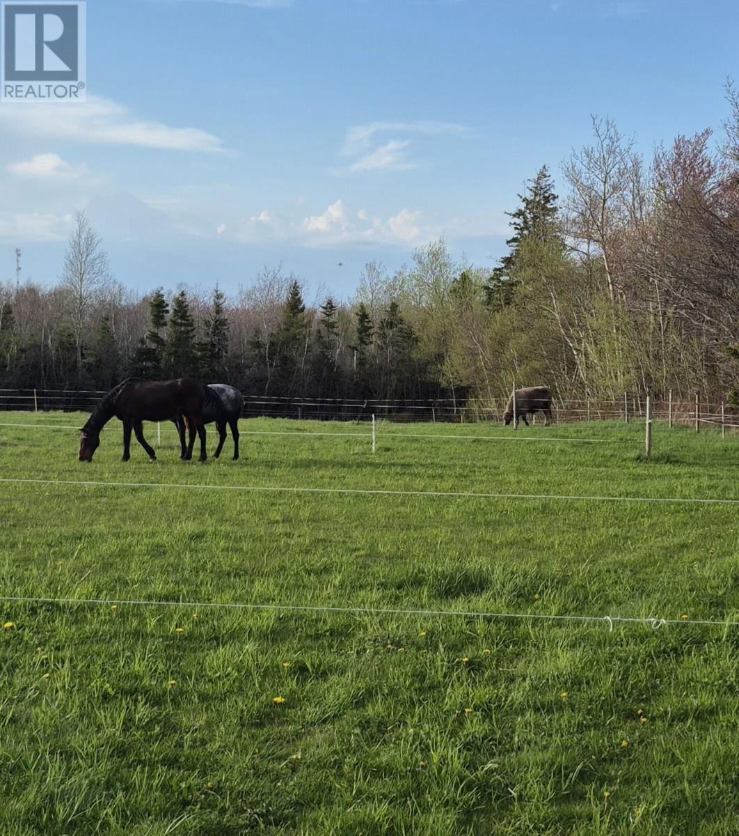 205 Dundee Loop, West St. Peters, Prince Edward Island  C0A 1S0 - Photo 27 - 202527053