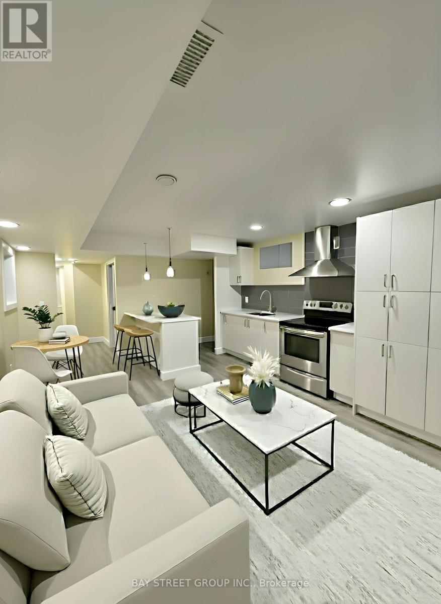 Lower Level - 61 Murray Street W, Hamilton, Ontario  L8L 1B4 - Photo 2 - X12525682