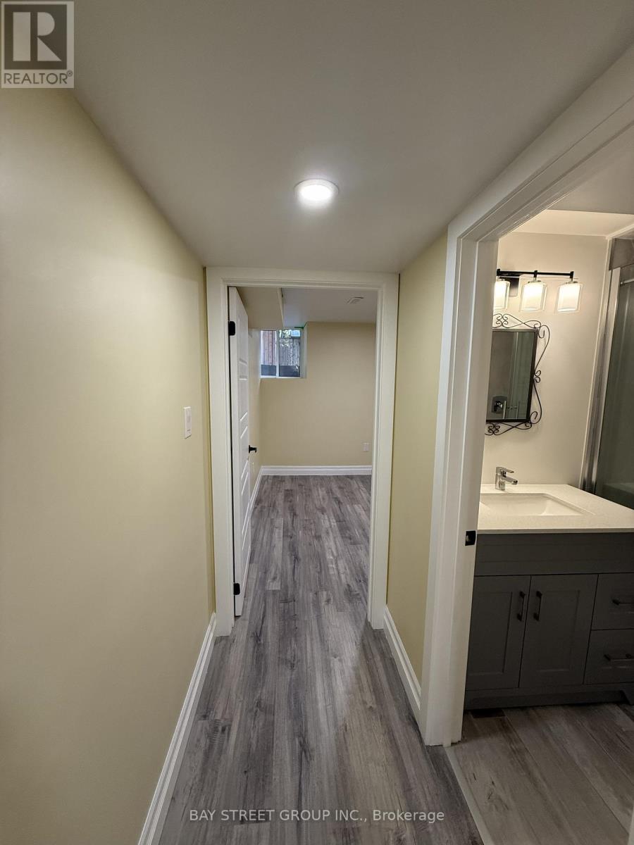 Lower Level - 61 Murray Street W, Hamilton, Ontario  L8L 1B4 - Photo 4 - X12525682