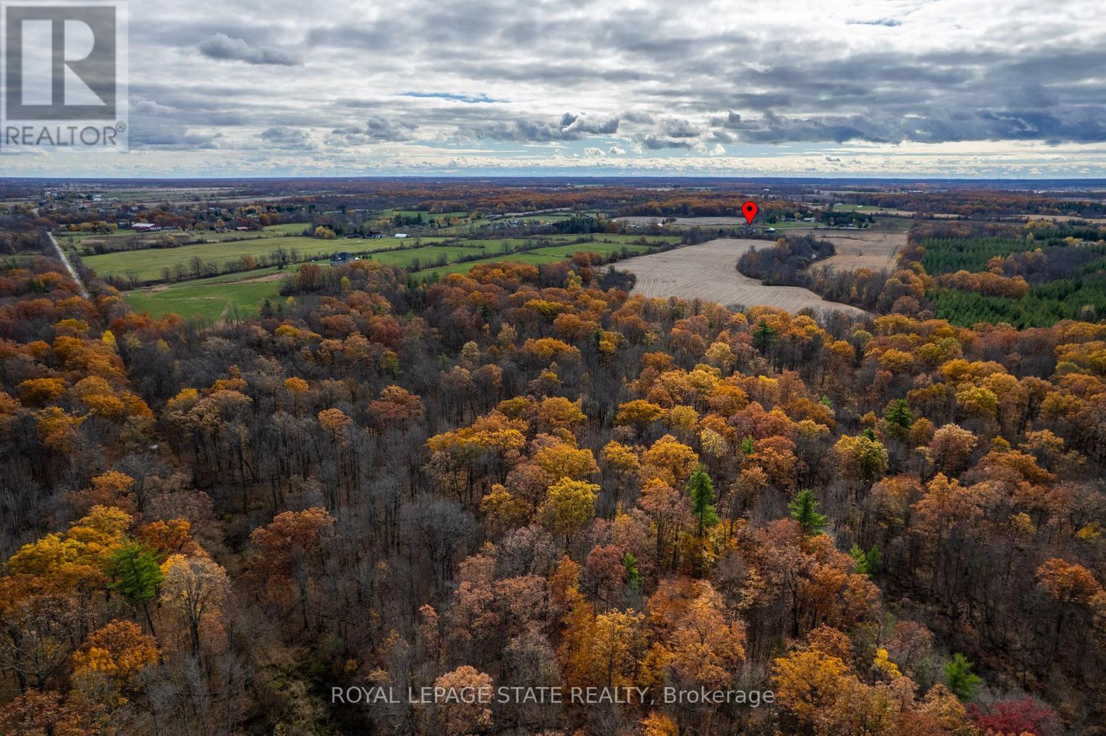 9729 York Road, West Lincoln, Ontario  L0R 1E0 - Photo 4 - X12525702
