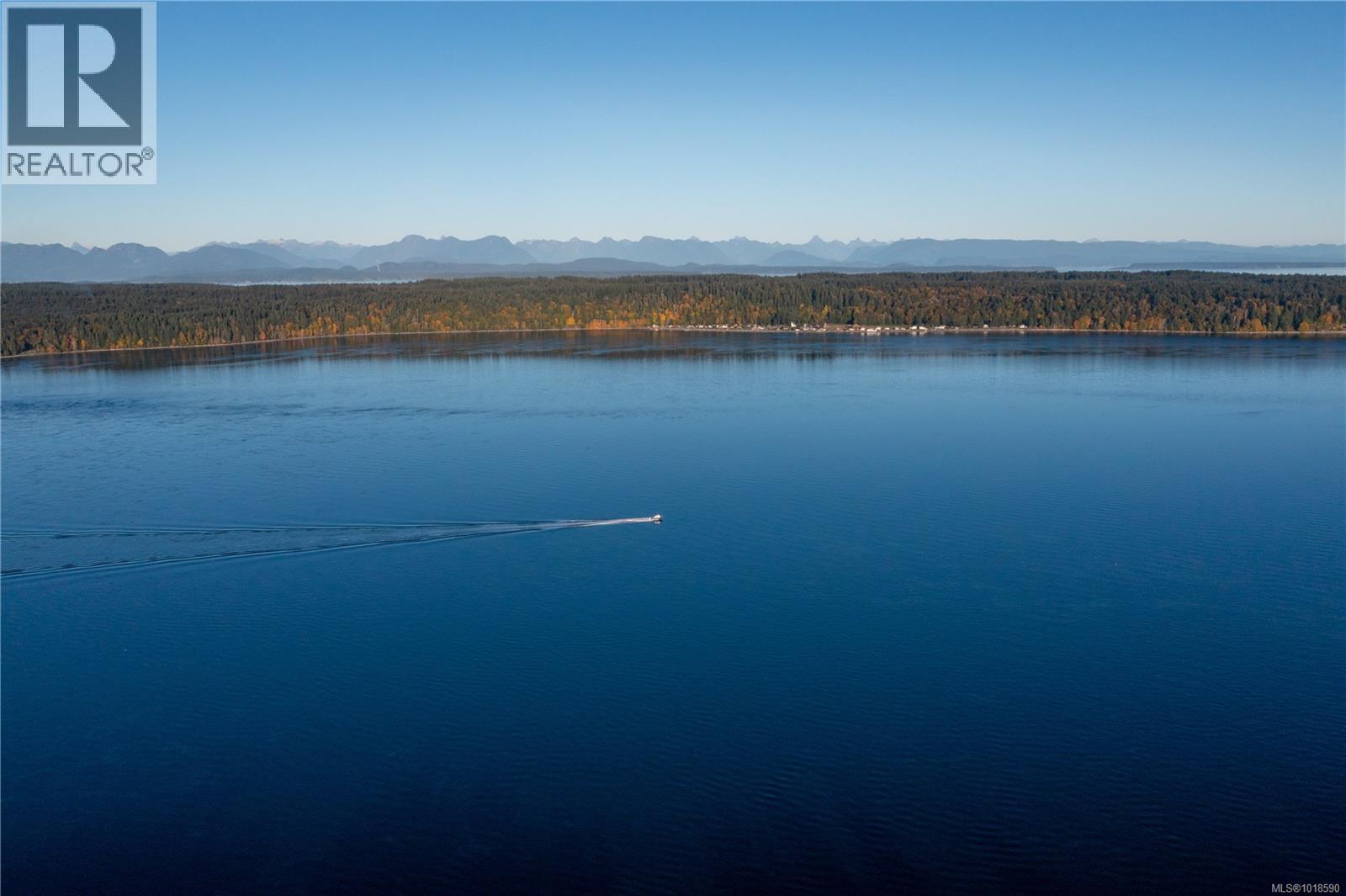 392 Island Hwy, Campbell River, British Columbia  V9W 2B6 - Photo 4 - 1018590