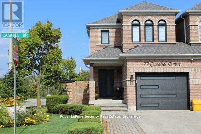 BASEMENT - 77 CASABEL DRIVE, Vaughan, Ontario