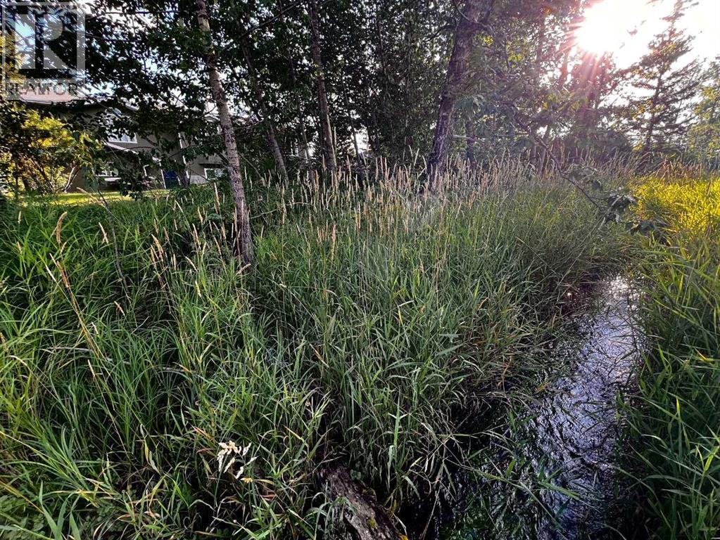 550 4 Avenue W, Sundre, Alberta  T0M 1X0 - Photo 3 - A2256456