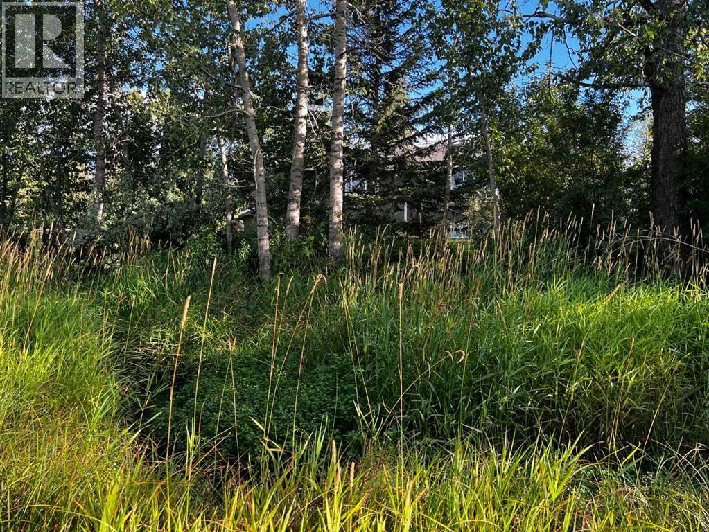 550 4 Avenue W, Sundre, Alberta  T0M 1X0 - Photo 37 - A2256456