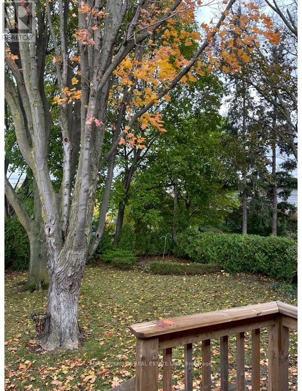 16 Nashland Avenue, Toronto, Ontario  M9B 2V4 - Photo 21 - W12525714